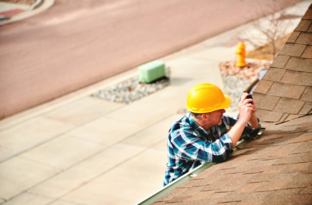 Best Roof Gutter Cleaning  in Winslow, AZ
