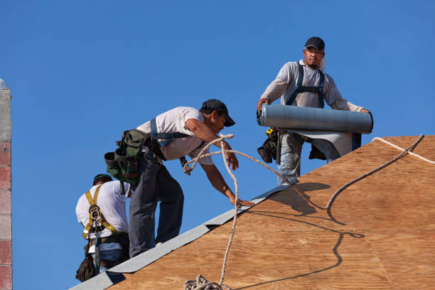 Best Slate Roofing Contractor  in Winslow, AZ